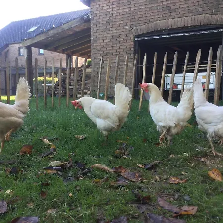 Bed & Breakfast D'hote En Pleine Campagne *